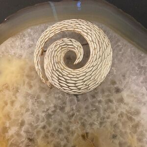 Vintage BSK gold & white swirl brooch 2"